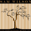 Sam Wilson - Radio Can't Rewind